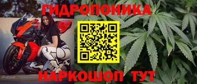 стафф Будённовск