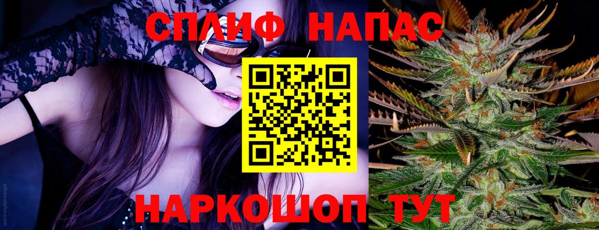 Бошки Шишки планчик Тельмана